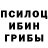 Галлюциногенные грибы Psilocybine cubensis Apple Mallari