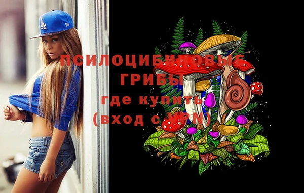 дмт Михайлов