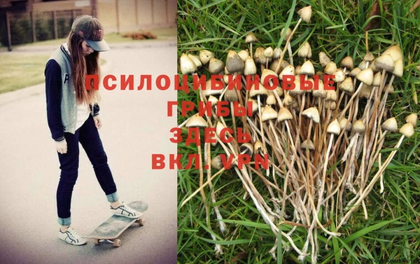 наркотики Краснослободск