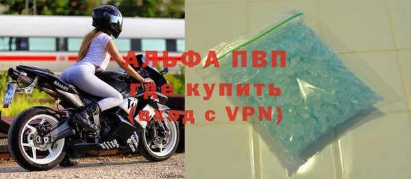 стафф Новодвинск