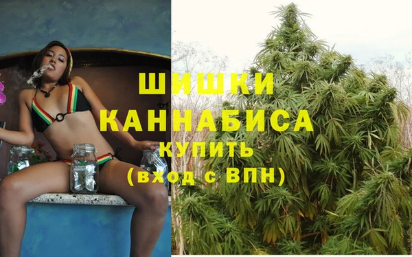 метадон Коряжма
