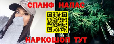 PSILOCYBIN Кулебаки