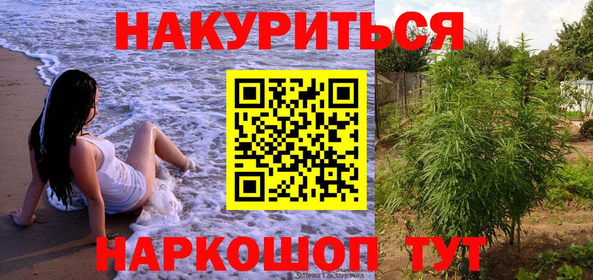 Канабис семена  Вход с VPN  Бошки марихуана гибрид  Шишки марихуана план  Сокол  Канабис сатива 